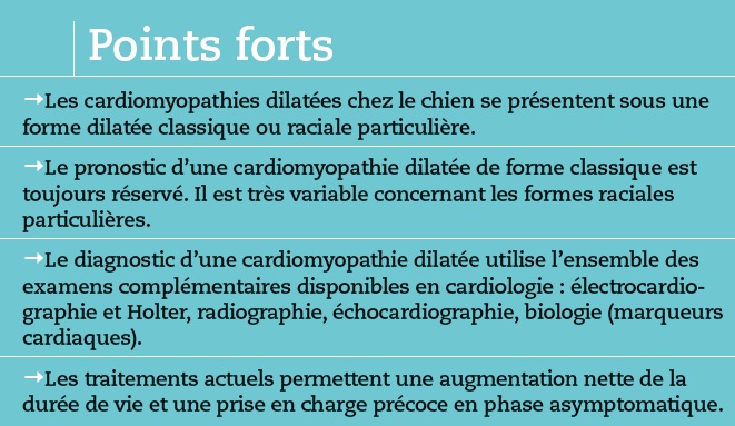 points forts